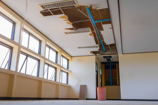 Best Water damage restoration near me  in Hampton, IA