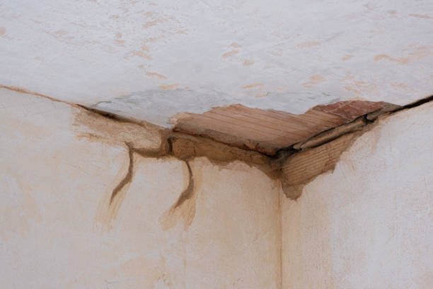 Best Water damage restoration mold remediation  in Hampton, IA