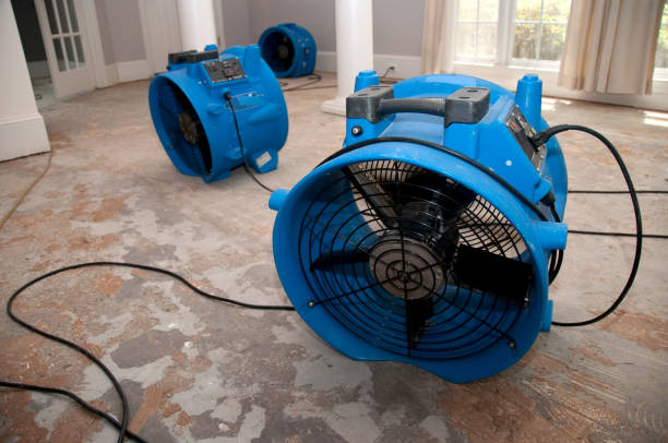 Best Flood damage cleanup  in Hampton, IA