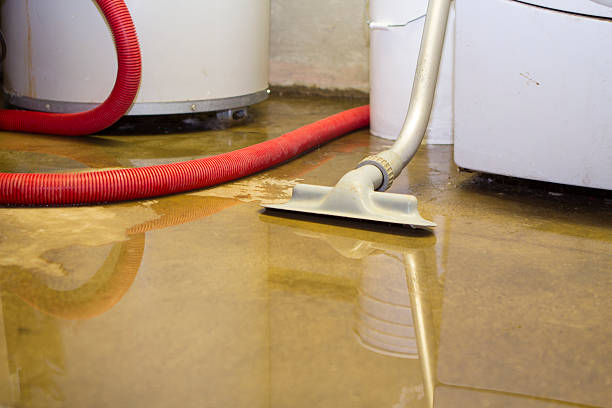 Best Basement water damage restoration  in Hampton, IA