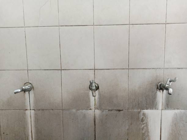Best Flood restoration services  in Hampton, IA
