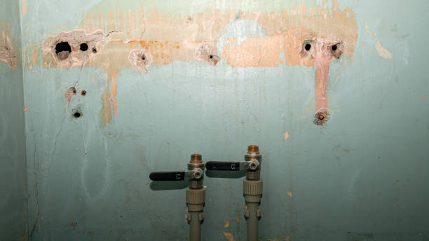 Best Carpet water damage restoration  in Hampton, IA