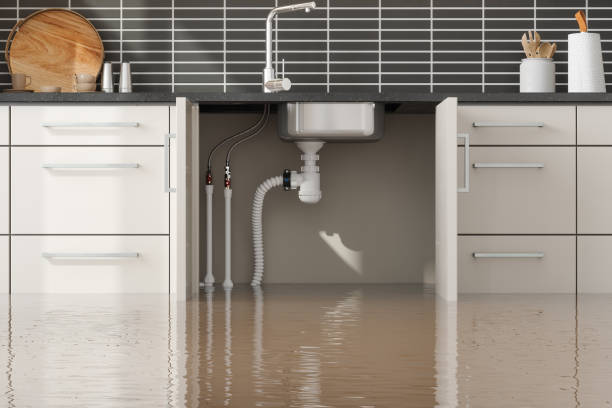 Best Water damage restoration near me  in Hampton, IA
