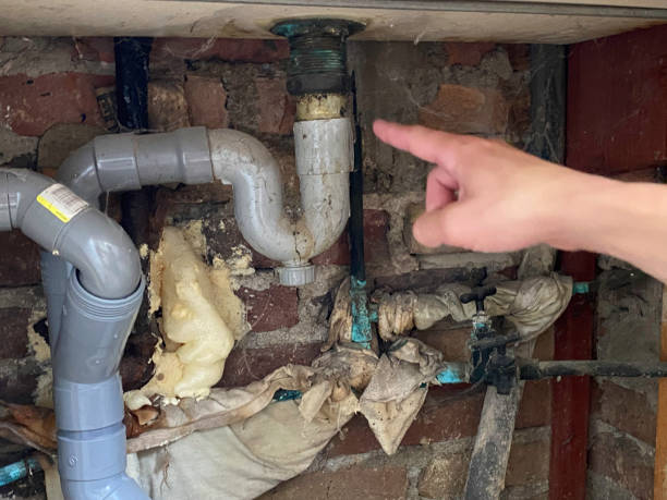 Best Water damage restoration insurance claims  in Hampton, IA