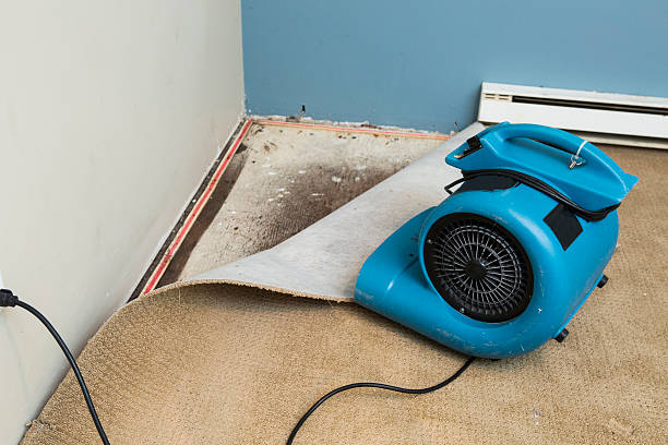  Hampton, IA Water damage restoration Pros